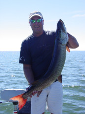 a72cd8e0-4c2e-43fe-8612-14ba8e09541c