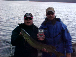 a73c68e9-bb88-4cd3-a806-1f62419e9543