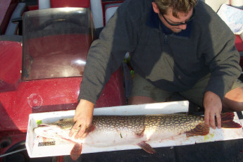 a8000c06-4f17-4219-a3e3-8bc3f0c481fe