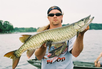 a8e896e0-f6f8-4337-8d7f-60b8b762da36