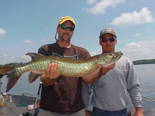 a94858a4-c516-47c8-9a2b-3f1509fe17d8