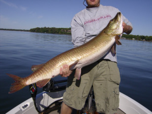 a94ec604-eca4-49ca-861e-7a98ddcf2d52