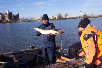 a9f900bb-5ffa-4e69-ab09-9411c0e23bff