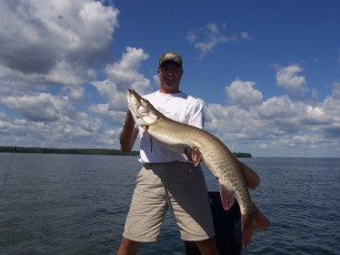 aa0c31ec-96ea-48c1-9828-3c7efa5d4926