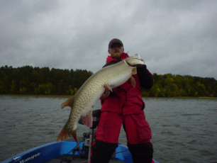 aa8b388a-f160-4232-b279-ef3a17ff7ed9