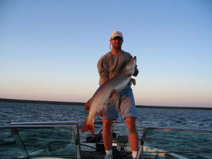 ab00dbc6-5ba2-414f-aaa5-3663656b820d