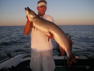 ac36036b-df26-4490-b147-ff51989856f2