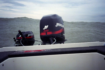 ace1ee42-ba0d-472b-9b61-18bb92f7b92b