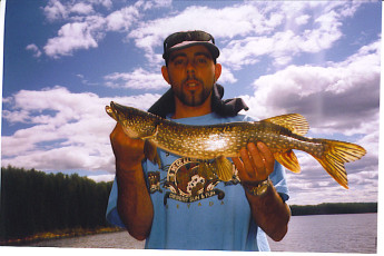 ad49f861-c9f8-4105-86e7-4667f3fc12f6