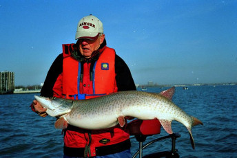 adffefb4-69c2-4793-9146-32a455438292