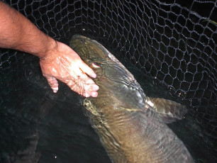 aed50d3d-bd4e-46b3-a9e2-088366147a56