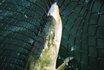 aee8b90d-327c-4854-aa07-7ceff9df24b3