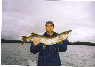 af857cf3-4dee-4d09-9c8d-5ba6f753a6d2