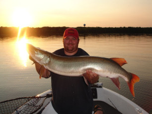 b05072d0-af29-471e-bc87-b7a538006e48