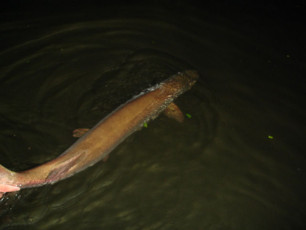 b078959b-d15c-4c6d-b34d-f01c3eafff7f