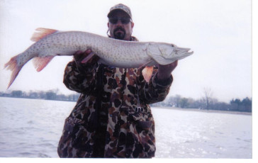 b1bf5223-9b76-434c-9004-a1fd4127f847