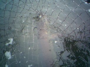 b1c1afc4-479a-464c-8431-5522e124e0f6