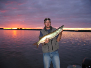 b24d4b83-5c7c-4eaa-86f5-5f003de0fb7f