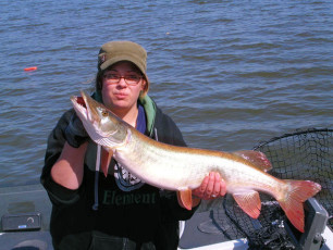 b27a12a5-3609-4a08-8e84-d3c93f747bdc