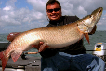 b286717f-172b-433e-aabe-bba8f4de63d0