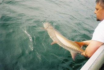 b2a3793b-4b33-428e-a539-495a54e45a97