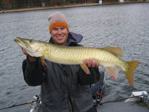 b3eeac48-0fa9-4c75-8ee3-b336ea668e8d