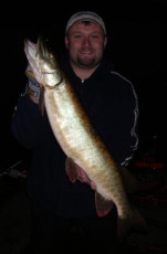 b3fc1916-17bf-486f-a868-bdeada012ce1