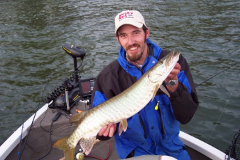 b42e1303-4607-4173-9138-ed41bb43b782