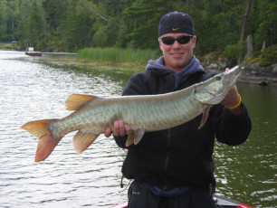 b539c4bc-aa4b-4673-9a58-5204d0dbf907