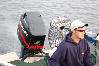 b7050804-8183-4264-a9e6-044a42feab07