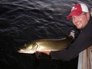 b8758255-29e0-4ceb-9a2f-aeb4a34b843a