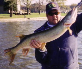 b9a71046-4de4-4a9f-a003-91a9466b35dd