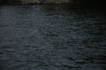 ba127293-f60c-44c5-aa37-b6549f9da4a3