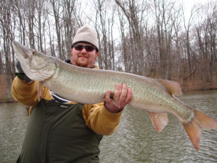 ba2a87fd-57aa-4945-a8ed-c3104baed9b7