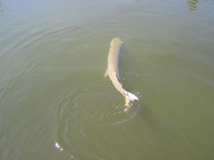 bb48c67a-1a52-4c91-b7a4-54d3ef6e0d81