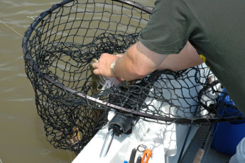 bc14fca1-c9de-4775-968c-7262b5e5c235