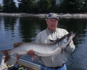 bc959e86-f285-40b4-b5ec-4858e272e6cf