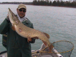 bd2541da-fa1e-46ba-88f5-881b76127058