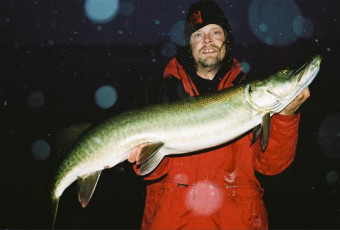 bd58ce75-262c-48b8-80ab-8018118d5cae