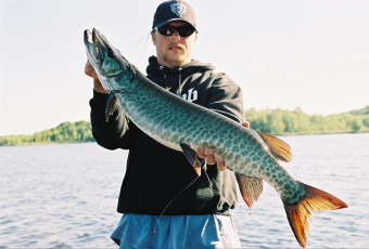 bd876349-caa6-4184-b4eb-bd30aaab44e4