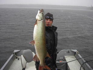 beed1966-6fee-4a45-be7b-ee0438c2cefd