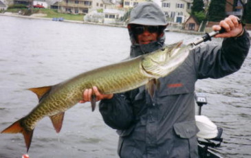 befa3886-6197-4781-ad5e-8fda329749a0