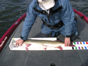 bf18f4f6-8a18-4057-8ed3-ae9e54995e20