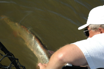 bfbad310-51a6-4eac-b476-aff35bde96b5