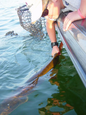 8a0f7349-cd7c-4b1f-9967-fda89eff7ce8