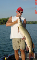 c0728f12-c3f3-43e8-b925-cd27ee4bc916