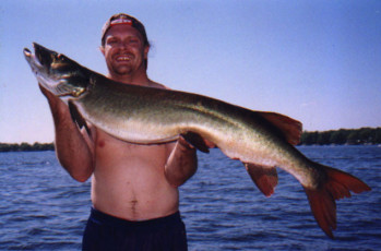 c0b2f0bd-80e0-4d9b-8ca3-3e8a5ccc6472