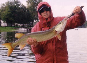 c0b7488e-21d2-4d07-9385-004a81d4679a