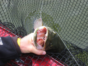 c1167957-2299-4647-8a8d-c25087f87bf9