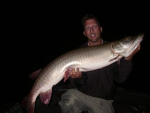 c126f5c3-c78e-4086-abab-d45debfd497c